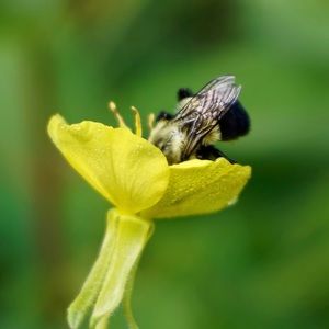 Meet your Posher, Becca